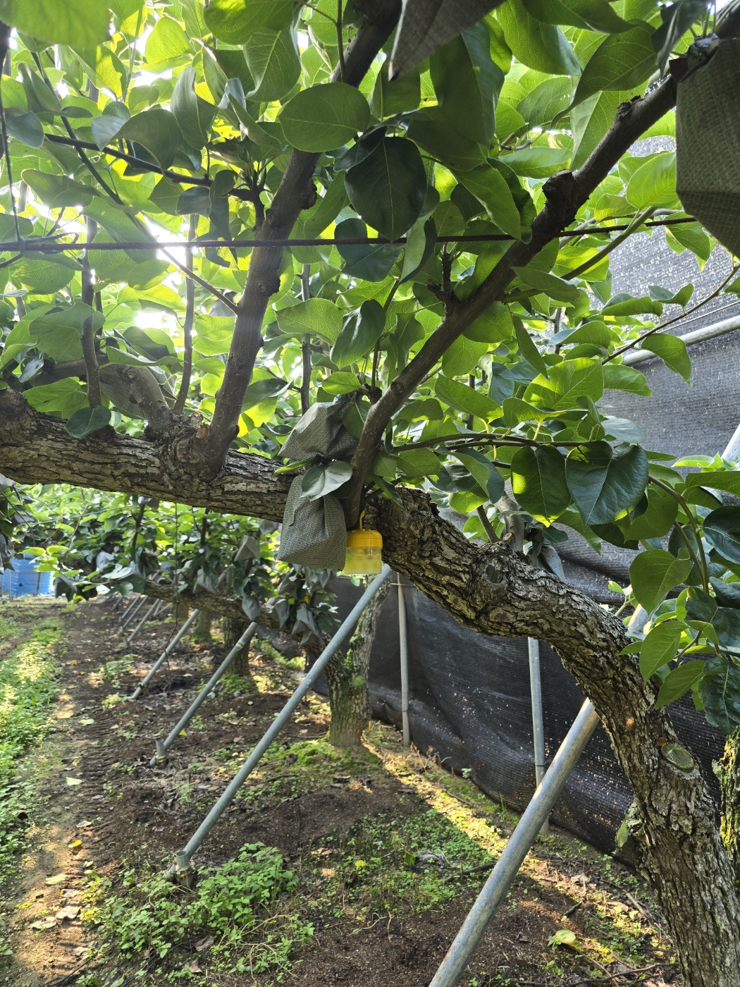 KakaoTalk_20260802_074448390_12.jpg